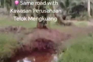 Telok Mengkuang Industrial