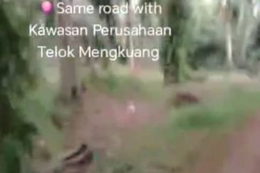 Telok Mengkuang Industrial