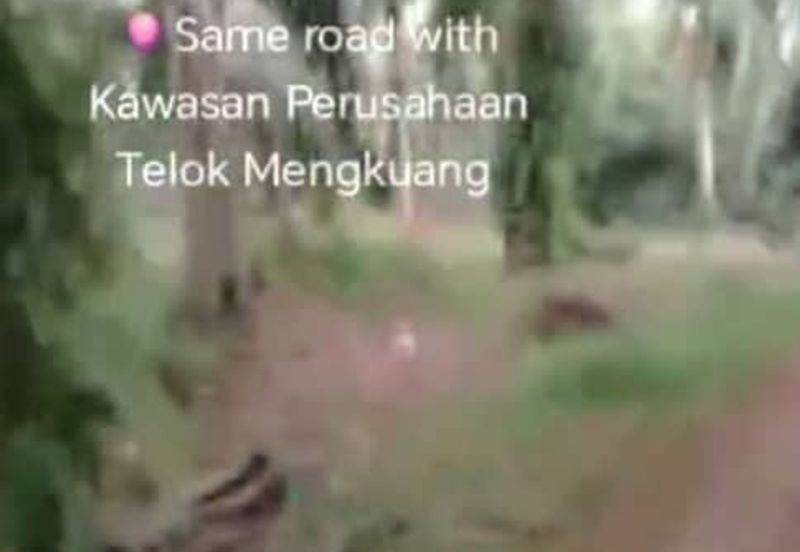 Telok Mengkuang Industrial