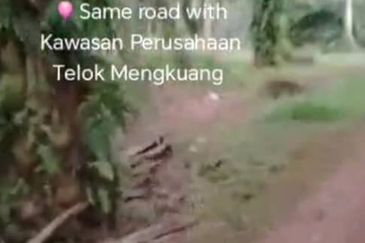 Telok Mengkuang Industrial