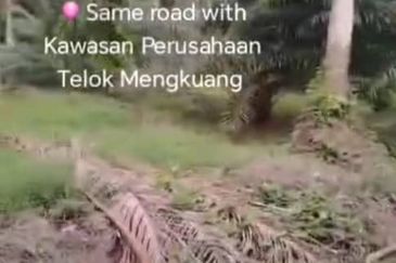 Telok Mengkuang Industrial