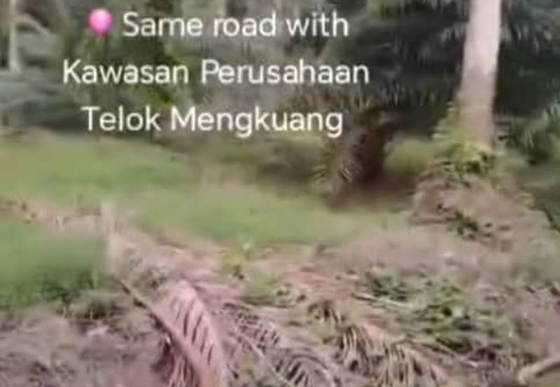 Telok Mengkuang Industrial