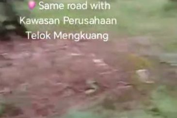 Telok Mengkuang Industrial