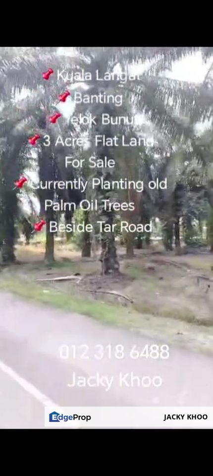 Banting  📌Telok Bunut 📌3 Acres Flat Land For Sale  📌Currently Planting old Palm Oil Trees  📌Beside Tar Road, Selangor, Banting