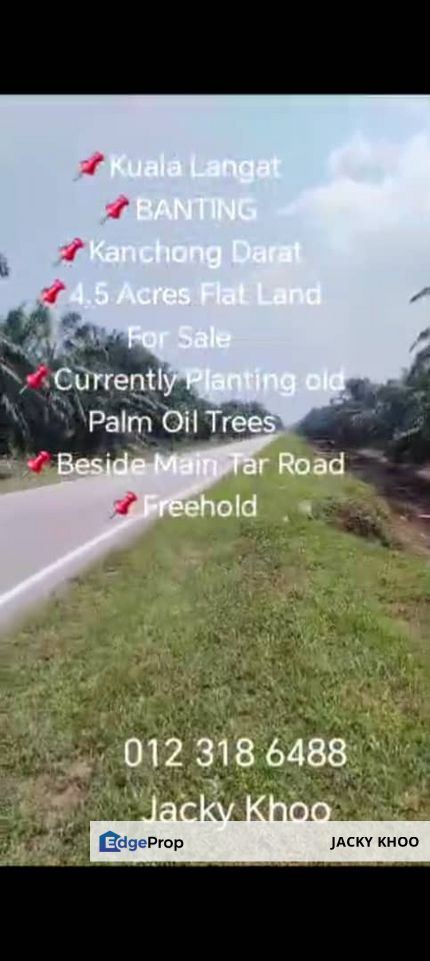 Kanchong Darat  📌4.5 Acres Flat Land For Sale  📌Currently Planting old Palm Oil Trees  📌Beside Main Tar Road, Selangor, Banting