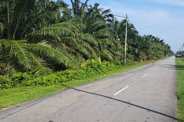 Kuala Langat  Tanjung Sepat 📌* Batu Laut land 📌 * 1.83 acres Flat Land For Sale  📌Beside Tar Road