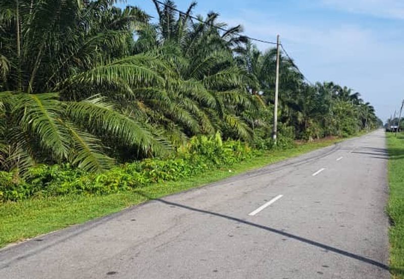 Kuala Langat  Tanjung Sepat 📌* Batu Laut land 📌 * 1.83 acres Flat Land For Sale  📌Beside Tar Road