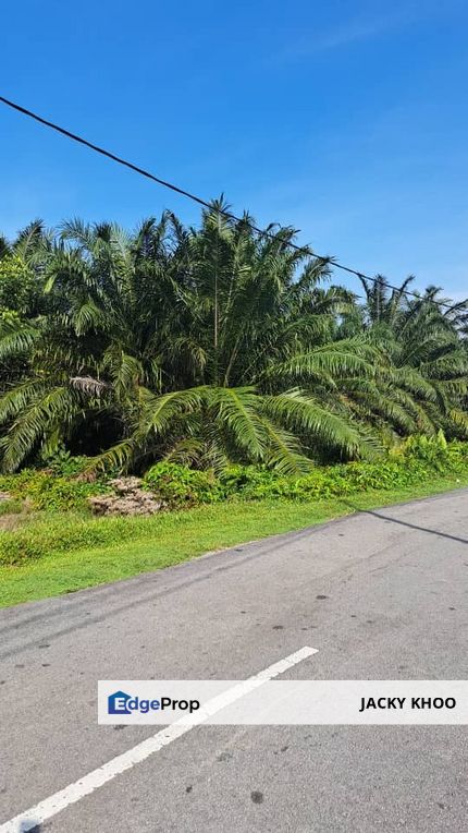 Kuala Langat  Tanjung Sepat 📌* Batu Laut land 📌 * 1.83 acres Flat Land For Sale  📌Beside Tar Road, Selangor, Banting