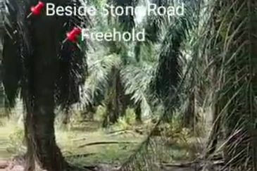 Batu Laut BANTING 📌 * 2.5 acres Flat Land For Sale  📌Beside Stone Road 📌Freehold 