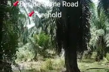 Batu Laut BANTING 📌 * 2.5 acres Flat Land For Sale  📌Beside Stone Road 📌Freehold 