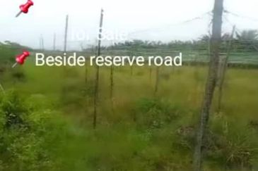 Sungai Sedu @ Tanjung Dua Belas