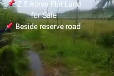 Sungai Sedu @ Tanjung Dua Belas