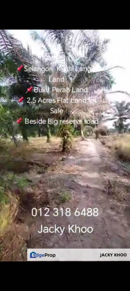 Bukit Perah. Seri Cheeding. Jenjarom. Banting.  . 2.5 Acres Flat Land for Sale 📌 Beside Big reserve road , Selangor, Banting