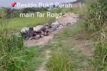 Sungai Sedu @ Tanjung Dua Belas