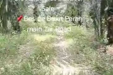 Sungai Sedu @ Tanjung Dua Belas