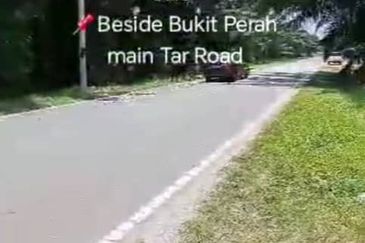 Sungai Sedu @ Tanjung Dua Belas