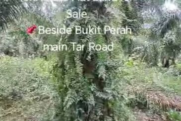 Sungai Sedu @ Tanjung Dua Belas