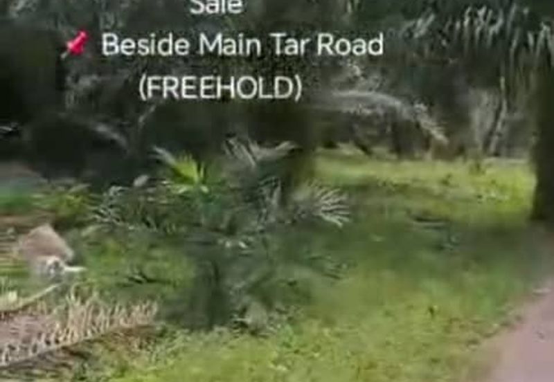 Sungai Sedu @ Tanjung Dua Belas