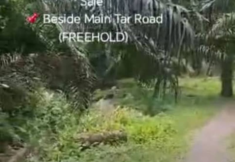 Sungai Sedu @ Tanjung Dua Belas