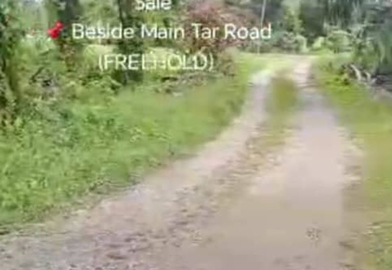 Sungai Sedu @ Tanjung Dua Belas