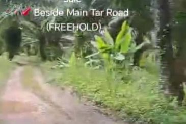 Sungai Sedu @ Tanjung Dua Belas