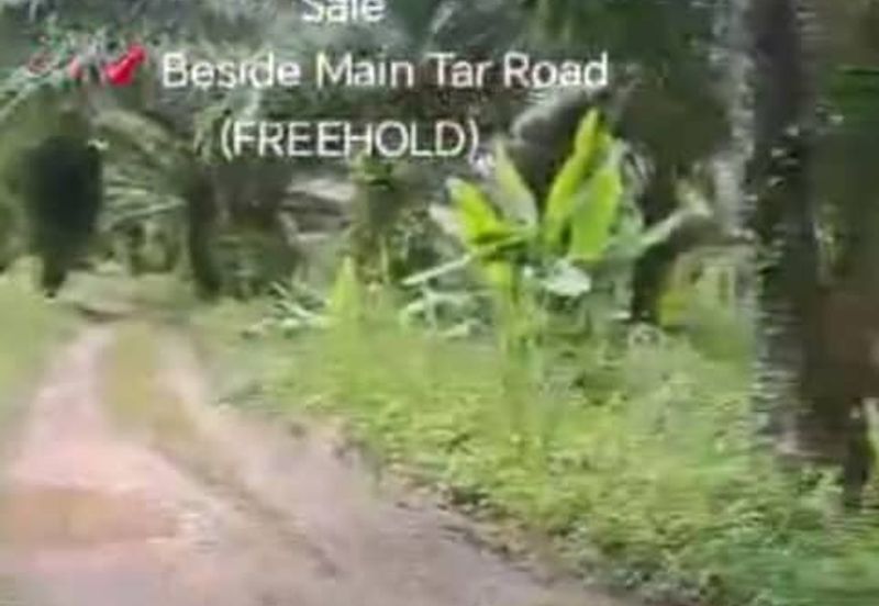 Sungai Sedu @ Tanjung Dua Belas