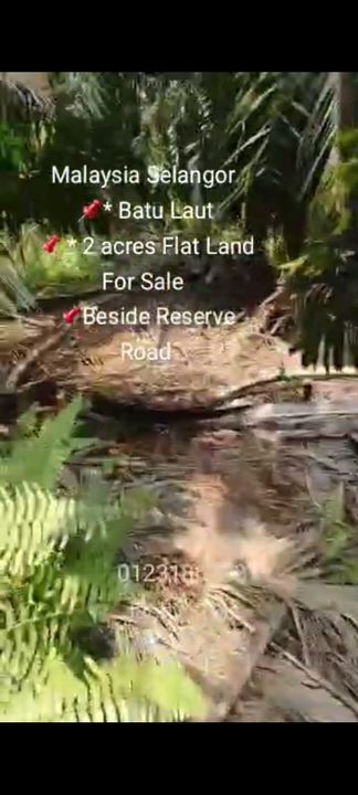 2 acres Flat Land For Sale , Batu Laut, Morib, Kelanang, Banting,  📌Beside Reserve Road, Selangor, Banting
