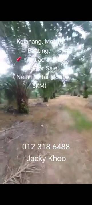 Kelanang, Morib, Banting,  📌 * 8.0 acres Flat Land For Sale  ( Near Pantai Morib 3KM), Selangor, Banting