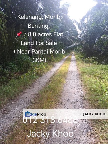 Kelanang, Morib, Banting,  📌 * 8.0 acres Flat Land For Sale  ( Near Pantai Morib 3KM), Selangor, Banting