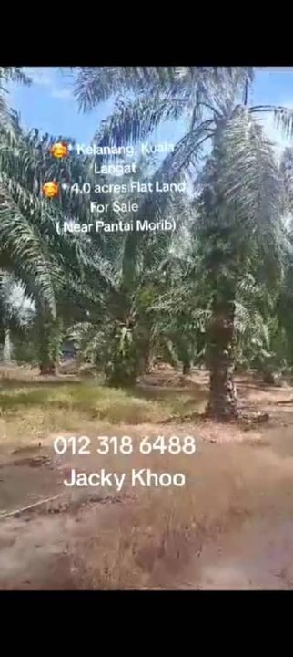 Kelanang, Morib, Banting,  📌 4.0 acres Flat Land For Sale  ( Near Pantai Morib), Selangor, Banting