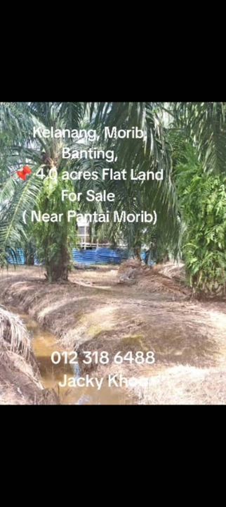 Kelanang, Morib, Banting,  📌 4.0 acres Flat Land For Sale  ( Near Pantai Morib), Selangor, Banting