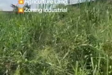 Telok Panglima Garang Industrial Zone