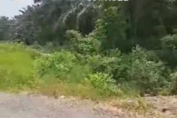 Telok Panglima Garang Industrial Zone