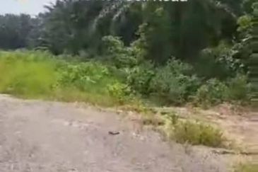 Telok Panglima Garang Industrial Zone