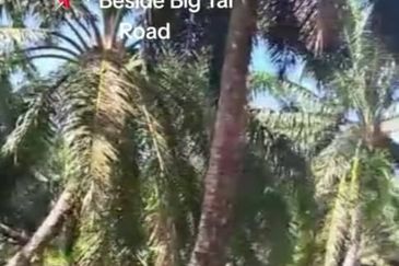 Telok Panglima Garang Industrial Zone