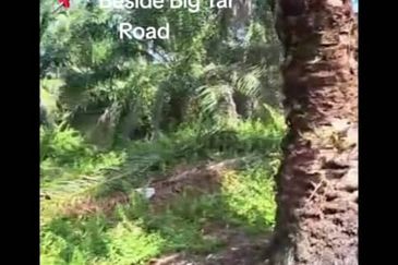 Telok Panglima Garang Industrial Zone