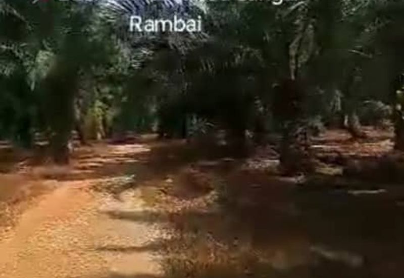 Telok Panglima Garang,  📌4.5 Acres Flat Land For Sale  📌Freehold 📌Beside Zoning Industrial Land 📌BESIDE Main Road Sungai Rambai