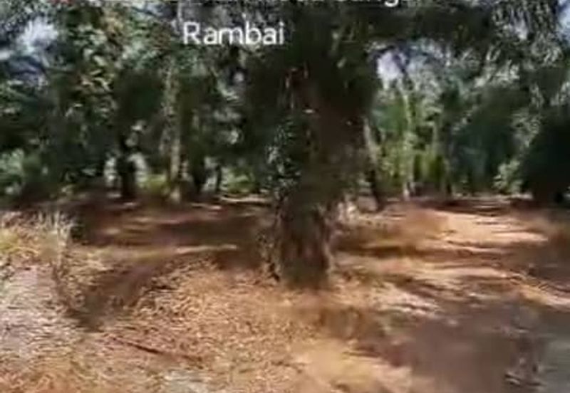 Telok Panglima Garang,  📌4.5 Acres Flat Land For Sale  📌Freehold 📌Beside Zoning Industrial Land 📌BESIDE Main Road Sungai Rambai