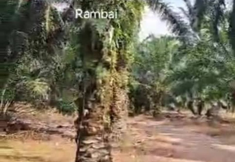 Telok Panglima Garang,  📌4.5 Acres Flat Land For Sale  📌Freehold 📌Beside Zoning Industrial Land 📌BESIDE Main Road Sungai Rambai