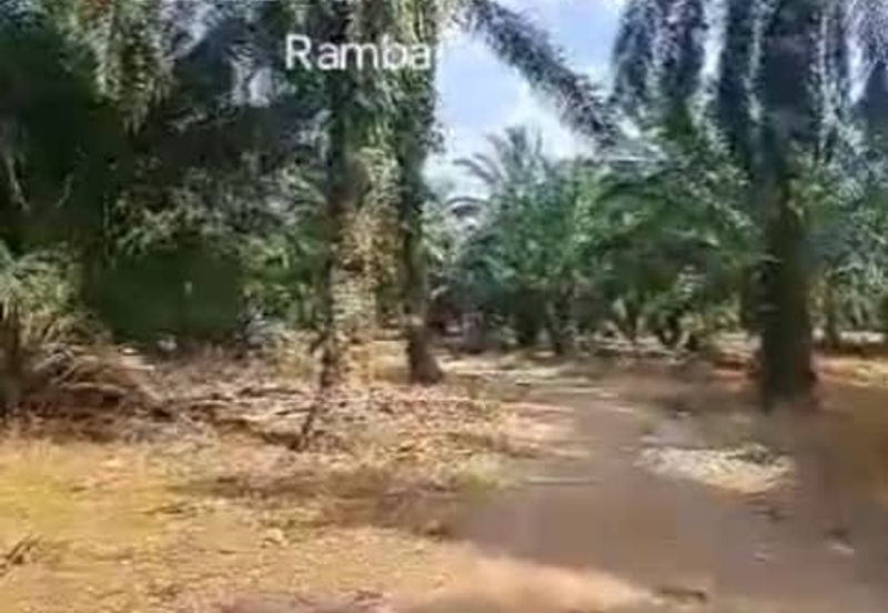 Telok Panglima Garang,  📌4.5 Acres Flat Land For Sale  📌Freehold 📌Beside Zoning Industrial Land 📌BESIDE Main Road Sungai Rambai