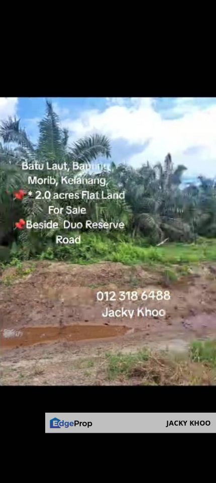 Batu Laut, Banting , Morib, Kelanang, 📌 * 2.0 acres Flat Land For Sale  📌Beside  Duo Reserve Road, Selangor, Banting