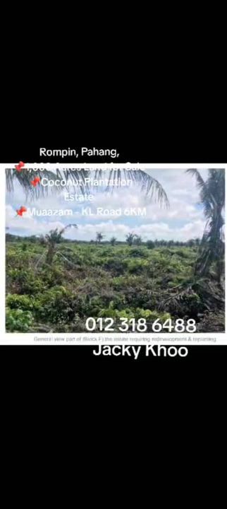 Rompin, Pahang, 📌1,000 Acres Land for Sale  📌Coconut Plantation Estate  📌Muaazam - KL Road 6KM, Pahang, Rompin District