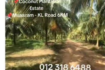 Rompin, Pahang, 📌1,000 Acres Land for Sale  📌Coconut Plantation Estate  📌Muaazam - KL Road 6KM