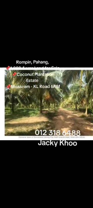 Rompin, Pahang, 📌1,000 Acres Land for Sale  📌Coconut Plantation Estate  📌Muaazam - KL Road 6KM, Pahang, Rompin District