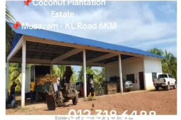 Rompin, Pahang, 📌1,000 Acres Land for Sale  📌Coconut Plantation Estate  📌Muaazam - KL Road 6KM