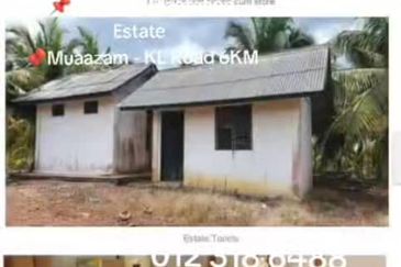Rompin, Pahang, 📌1,000 Acres Land for Sale  📌Coconut Plantation Estate  📌Muaazam - KL Road 6KM