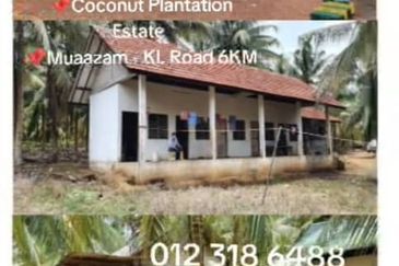 Rompin, Pahang, 📌1,000 Acres Land for Sale  📌Coconut Plantation Estate  📌Muaazam - KL Road 6KM