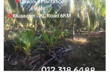 Rompin, Pahang, 📌1,000 Acres Land for Sale  📌Coconut Plantation Estate  📌Muaazam - KL Road 6KM