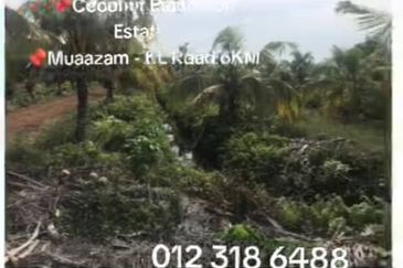 Rompin, Pahang, 📌1,000 Acres Land for Sale  📌Coconut Plantation Estate  📌Muaazam - KL Road 6KM