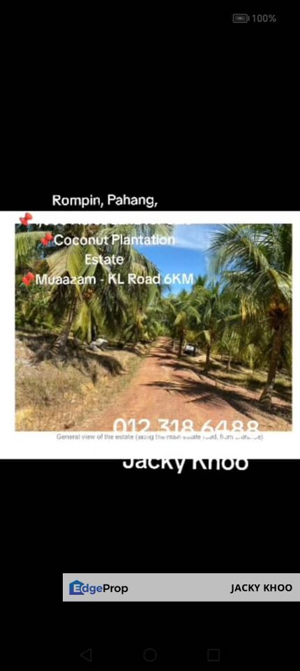 Rompin, Pahang, 📌1,000 Acres Land for Sale  📌Coconut Plantation Estate  📌Muaazam - KL Road 6KM, Pahang, Rompin District